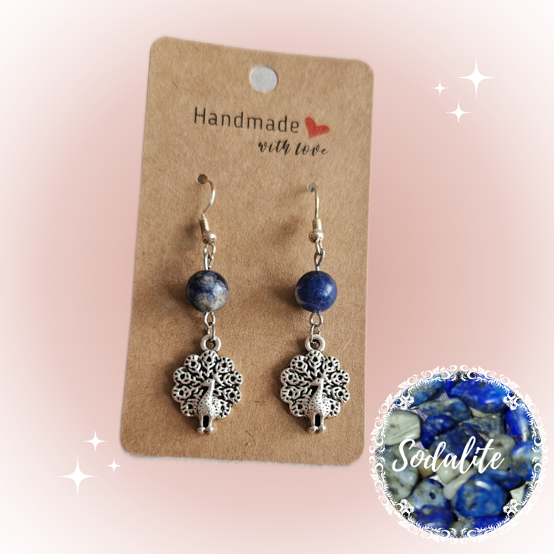 Gemstone And Silver Charm Earrings Collection